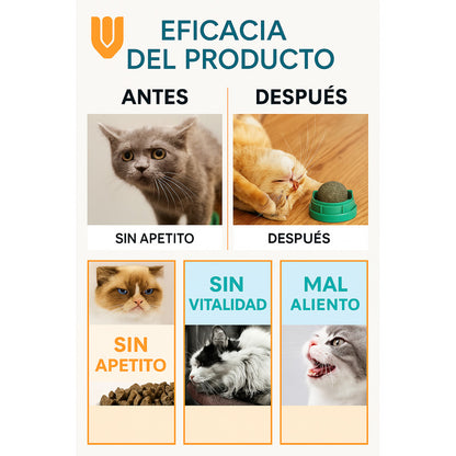 Bola Hierba Gatera Catnip Gatos Bola Snack Catnip Antiestrés