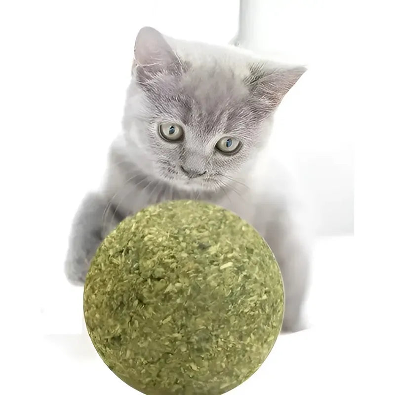 X8 Bola Catnip Para Gatos Juguetes De Gato Snack Para Gatos X8 Catnip Verde X-313