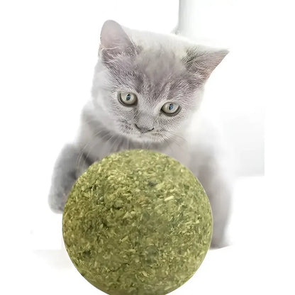 X8 Bola Catnip Para Gatos Juguetes De Gato Snack Para Gatos X8 Catnip Verde X-313