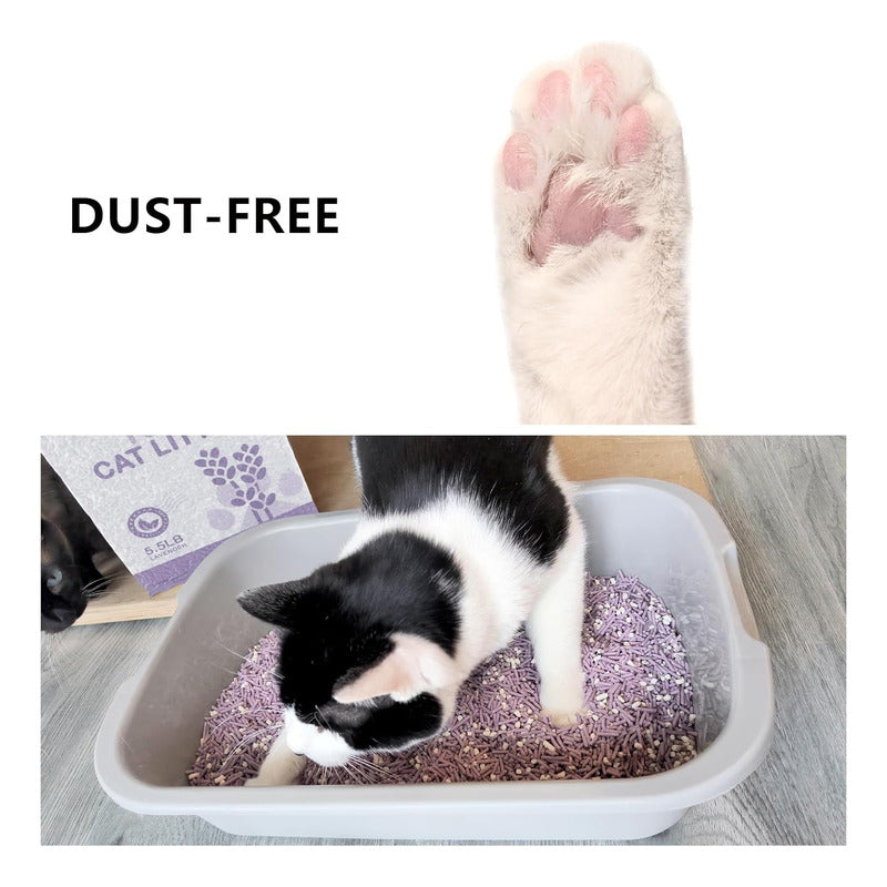 Arena Tofu Arena Sanitaria Arena Aglutinante Tofu 2 Kg