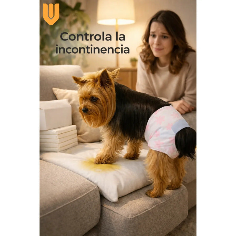 10 Pañales Perro Gato Xs Control Orina Macho Hembra Mascota Blanco Xs
