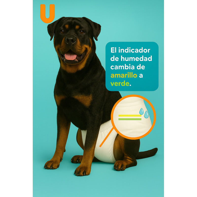 100 Pañales Perros Desechables Mascota Pañales Gato Xl