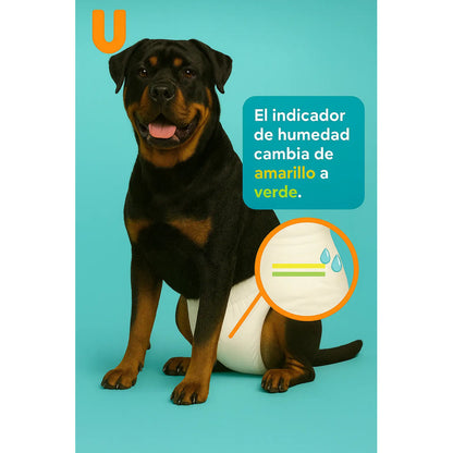 100 Pañales Perros Desechables Mascota Pañales Gato Xl Blanco Hembra Xl 60 X 35 Cm