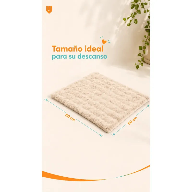 Cama Perros Mascotas Acolchada Lavable Resistente 60x80cm Beigecrema Camas De Perro