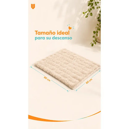 Cama Perros Mascotas Acolchada Lavable Resistente 60x80cm Beigecrema Camas De Perro