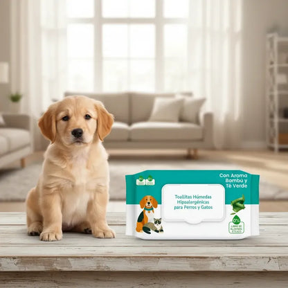 Combo Toallas Humedas 50und + Pañales Perro Macho M 12und Blanco Principal Combo Higiene Mascota Pañales Absorbentes Toallas Húmedas Perro Gato Limpieza Diaria Presentación Clara M