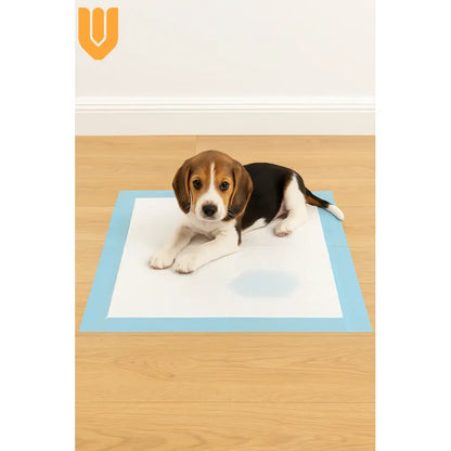 X60 Sabanilla Entrenamiento Perro Mascota Perros 45x60cm Azul Blanco