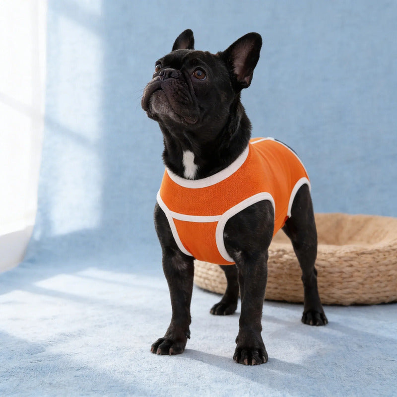 Body Post Operatorio Perros Ropa Traje Mascotas Cuidados L-body Perro Postcirugia Proteccion Suturas Ajuste