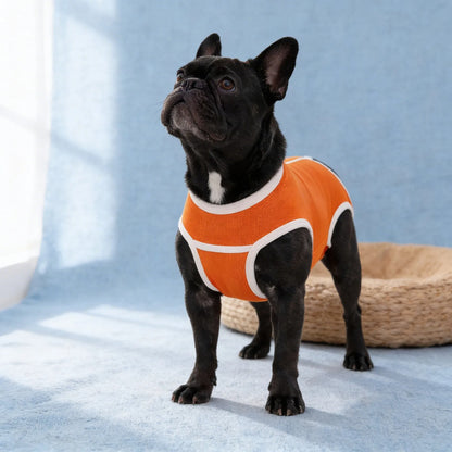 Body Postoperatorio Perro Ajustable Transpirable Lavable
