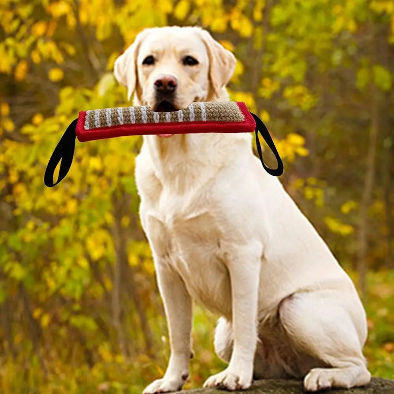 Mordedor Perro Mordedor Yute Mordedor Adiestramiento Perro Al Azar