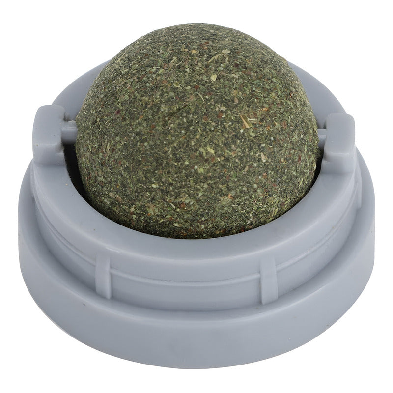 Bola Hierba Gatera Catnip Gatos Bola Snack Catnip Antiestrés