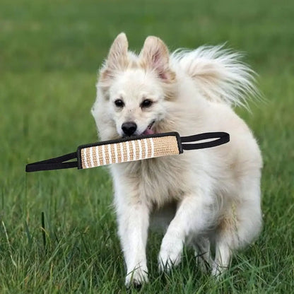 Mordedor Perro Mordedor Yute Mordedor Adiestramiento Perro Al Azar
