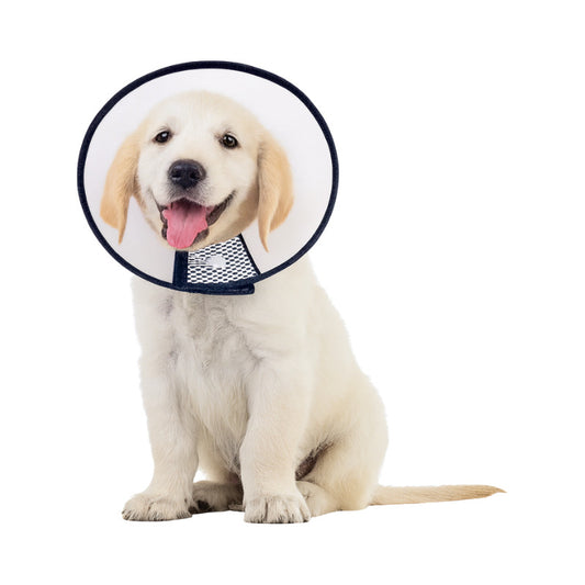 Collar Isabelino Perro Collar Isabelino Gato Collar Perro 5 Blanco-negro Collar Isabelino Talla #5