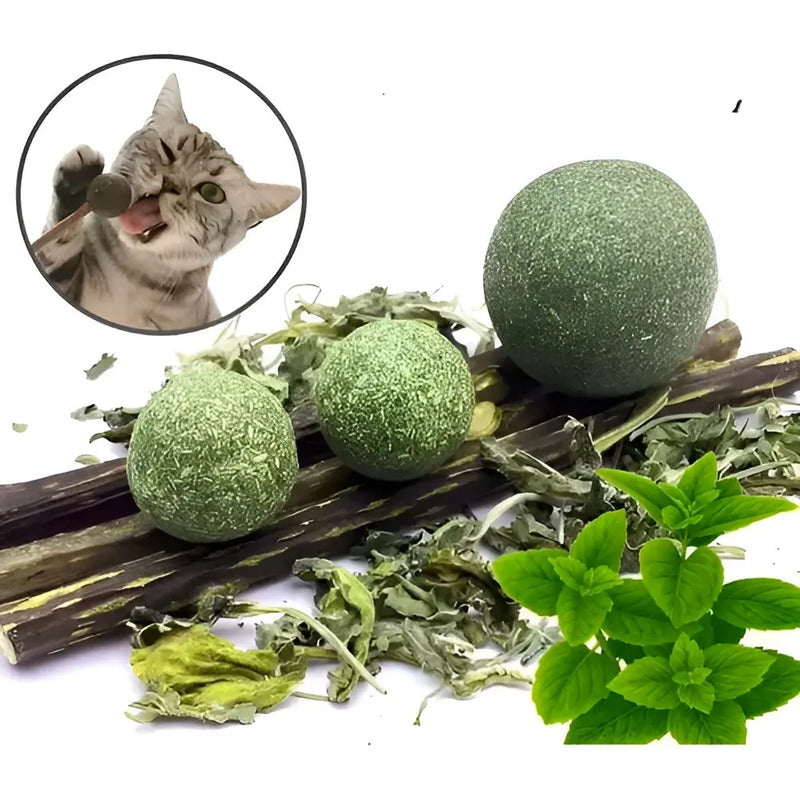 X4 Bola Catnip Para Gatos Juguetes De Gato Snack Para Gatos X4 Catnip Verde X-313