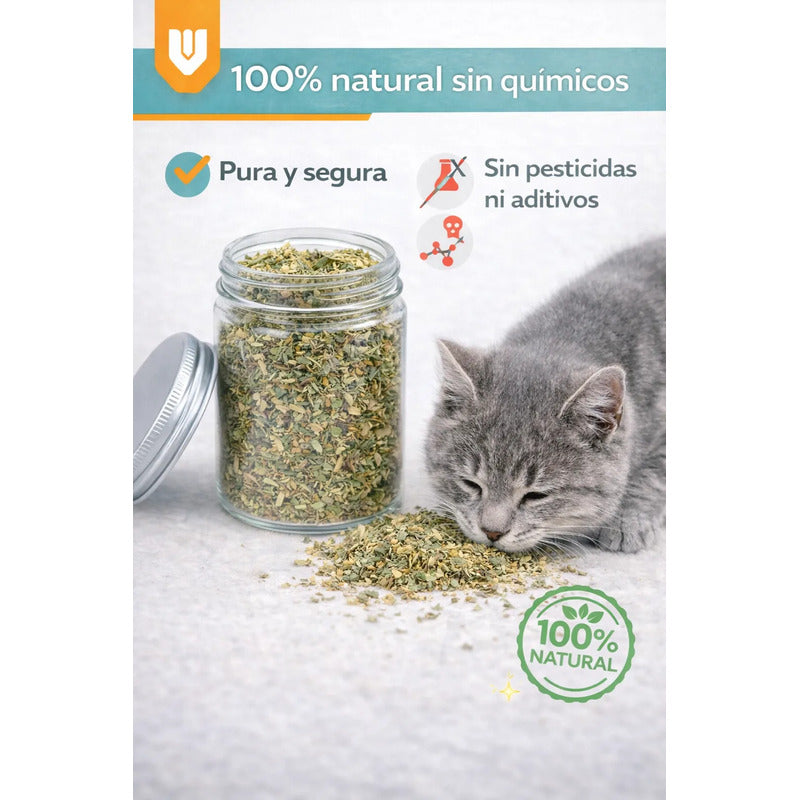 Hierba Gatera Natural Snack Seco Relajacion Gato Mascota 30g Hierba