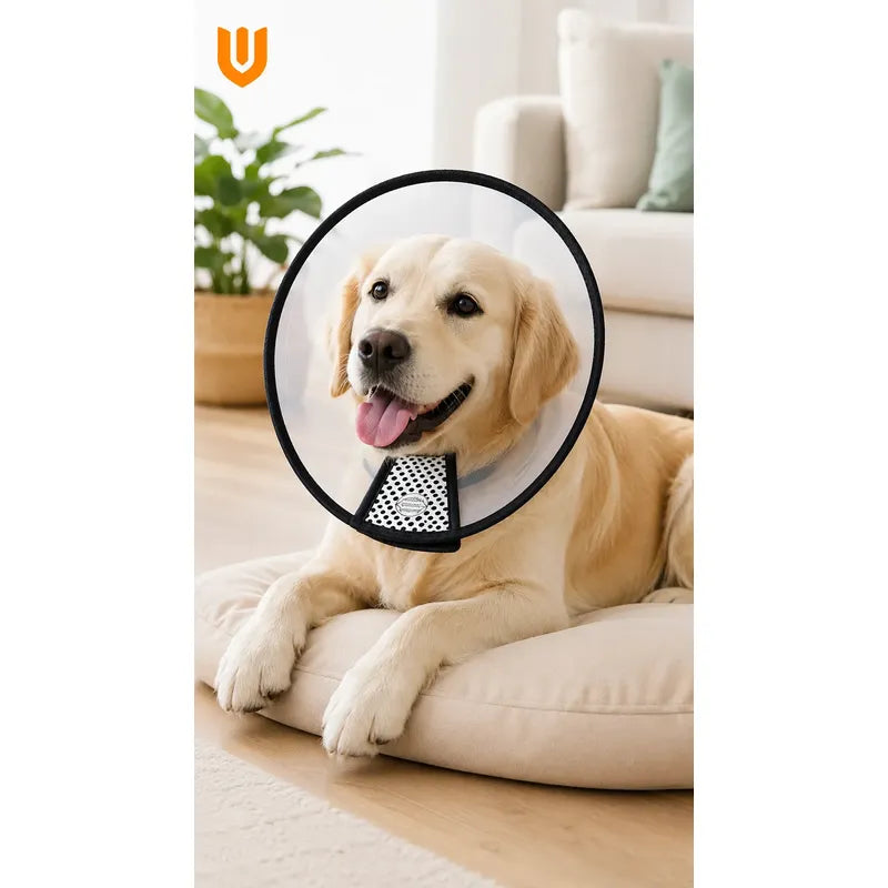 Collar Isabelino Quirurgico Ajustable Herida Suturas Mascota Collar Isabelino Recuperacion Quirurgica Mascotas Grandes Protector Veterinario Ajustable Premium Talla 2 Grande Mascotas Perros Gatos...
