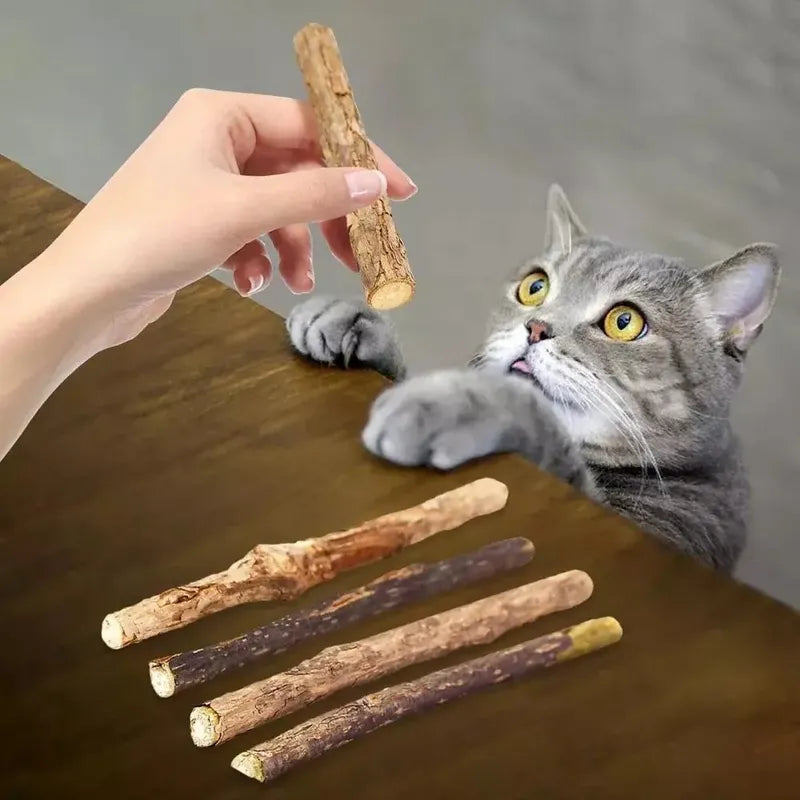 X10 Palitos Hierba Gatera Yerba Gatera Juguete Para Gatos Marrón