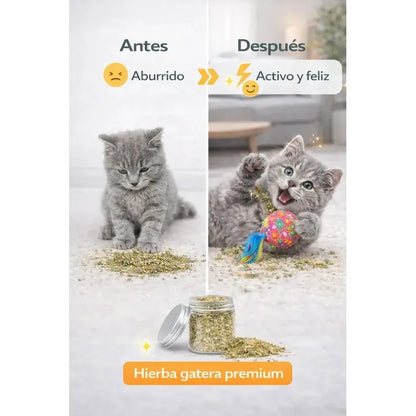 Snack Catnip Felino Estimulacion Instinto Caza Hogar 50g Hierba