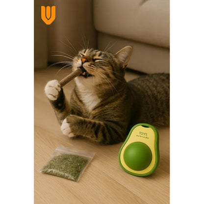 Pack 2 Juguete Catnip Gato Bola Giratoria Catnip Hierba X2 Catnip Verde
