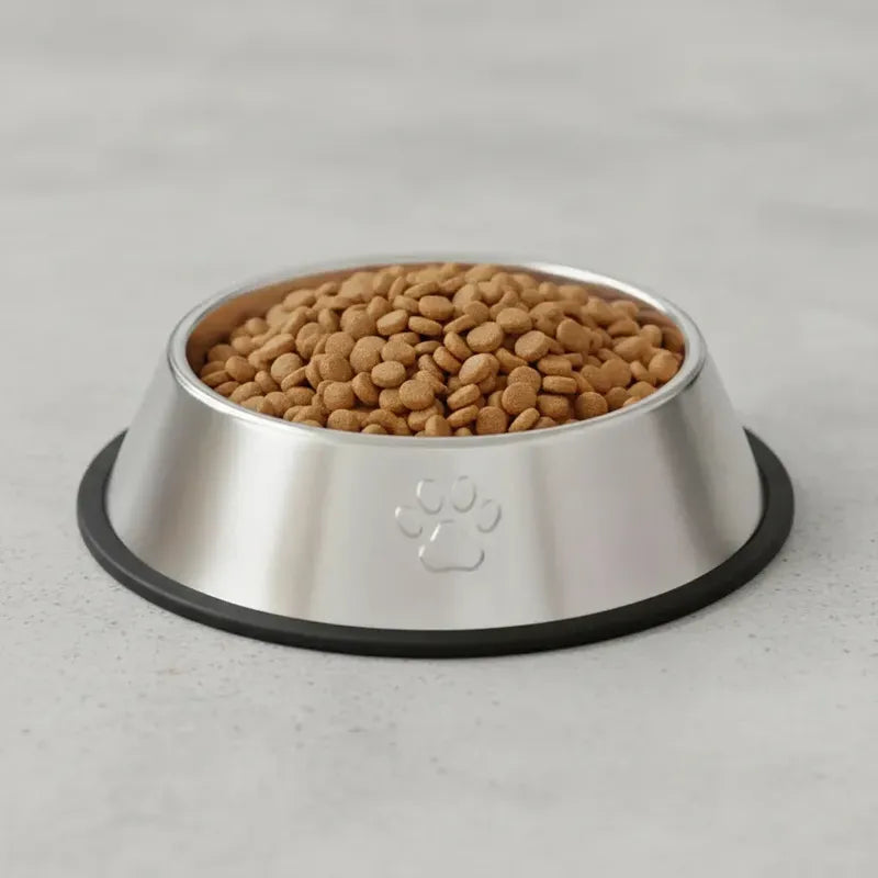 Comedero Acero Inoxidable Mascotas Plato Antideslizante 26cm Metalico Plateado Tono Brillante Acero Inoxidable Resistente Agua Mascotas Estilo Moderno Visual Limpio Durabilidad Alta