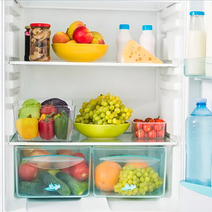 Organizador De Refrigerador Contenedor Organizador Despensa