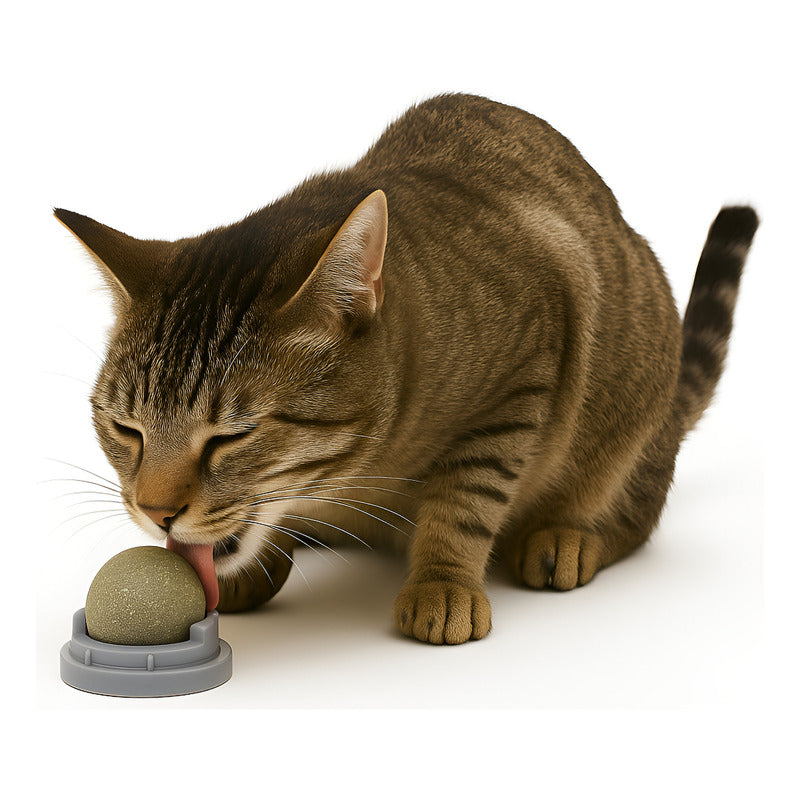 Bola Hierba Gatera Catnip Gatos Bola Snack Catnip Antiestrés