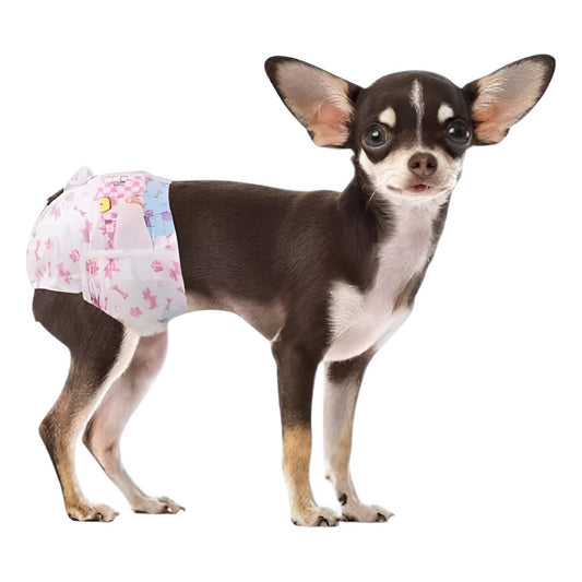 X10 Pañales Perros Panal Hembra Macho Pañales Gato Xs