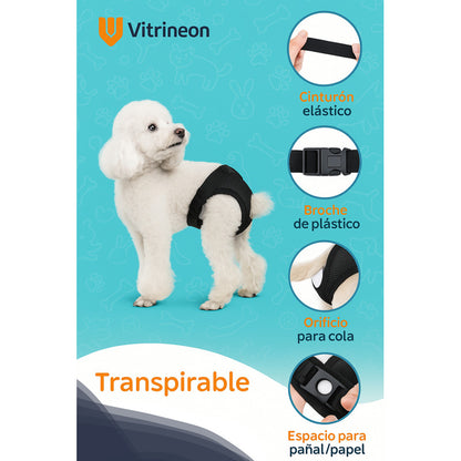 Calzon Perros Celo Calzones Reutilizables 3 Repuestos Pañal