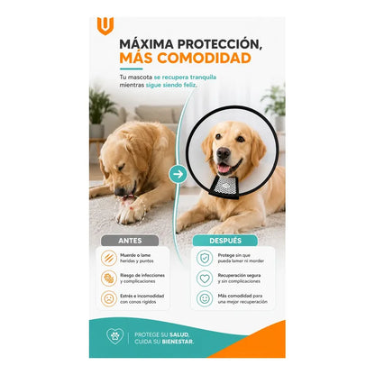 Collar Cono Isabelino Mascotas  Recuperacion Antilamido Collar Isabelino Recuperacion Quirurgica Mascotas Grandes Protector Veterinario Ajustable Premium Talla 2 Grande Mascotas Perros Gatos...