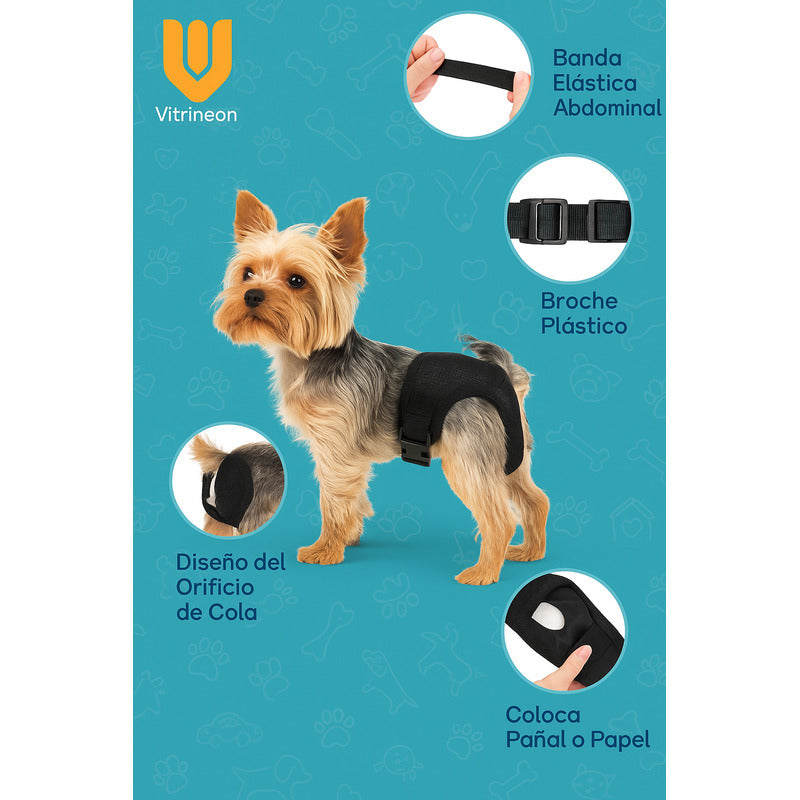 Calzon Perros Celo Calzones Reutilizables 3 Repuestos Pañal