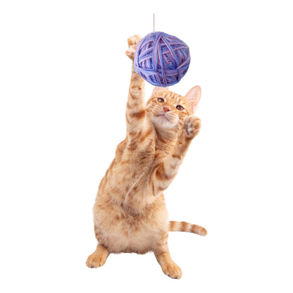 Pelota Tejida Interactiva Juguete Para Gato Juego Para Gato