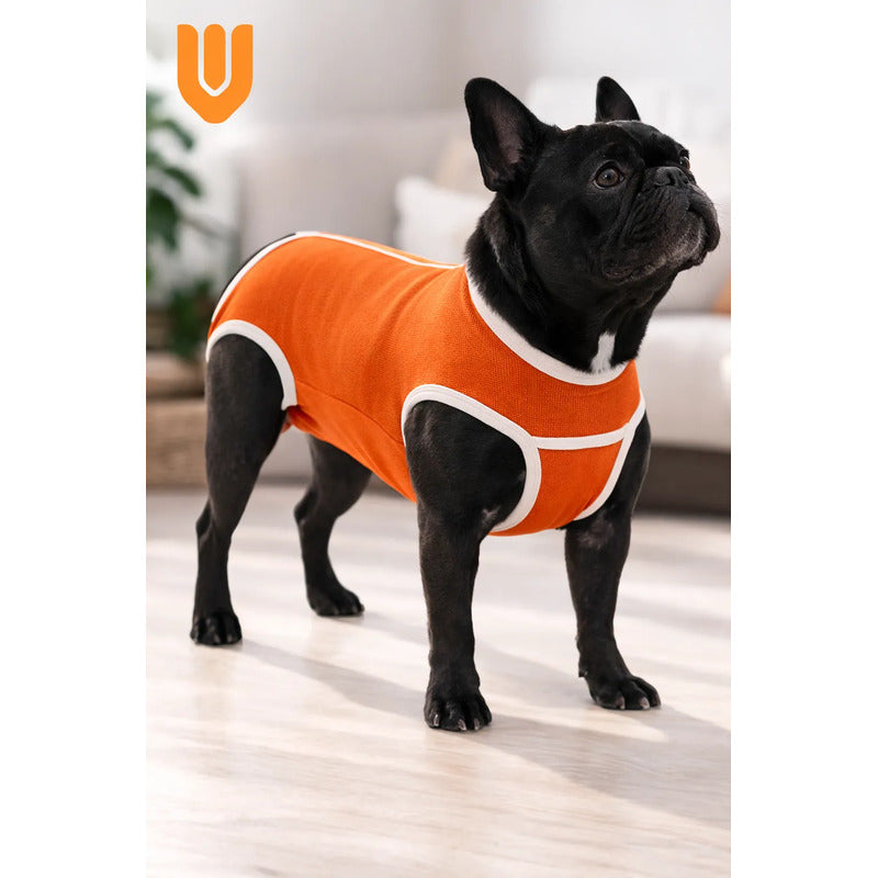 Body Vitrineon Mascota Ajustable Transpirable Lavable Comodo S