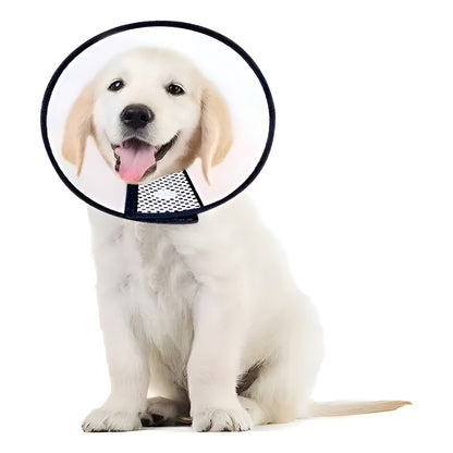 Collar Isabelino Perro Collar Isabelino Gato Perro 2+ Grande Blanco-negro Collar Isabelino Talla 2 Grande