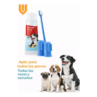 Cepillo Y Pasta De Dientes Perro Pasta Dientes Mascotas Carne