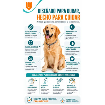 Collar  Disciplinar Mascotas Resistente Agua Durabilidad Plateado Brillante Acabado Acero Inoxidable Tono Metalico Elegante Resistencia Alta Estilo Profesional Mascotas
