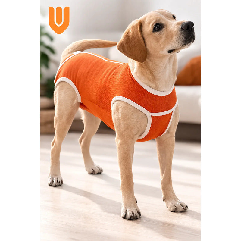 Body Post Operatorio Perros Ropa Traje Mascotas Cuidados L-body Perro Postcirugia Proteccion Suturas Ajuste