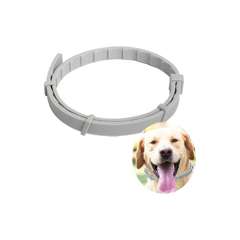 Pack X2 Collar Antipulgas Perro Repelente Garrapata Collar