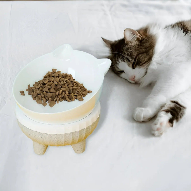 Plato Comida Perro Plato Alto Inclinable Plato Mascota