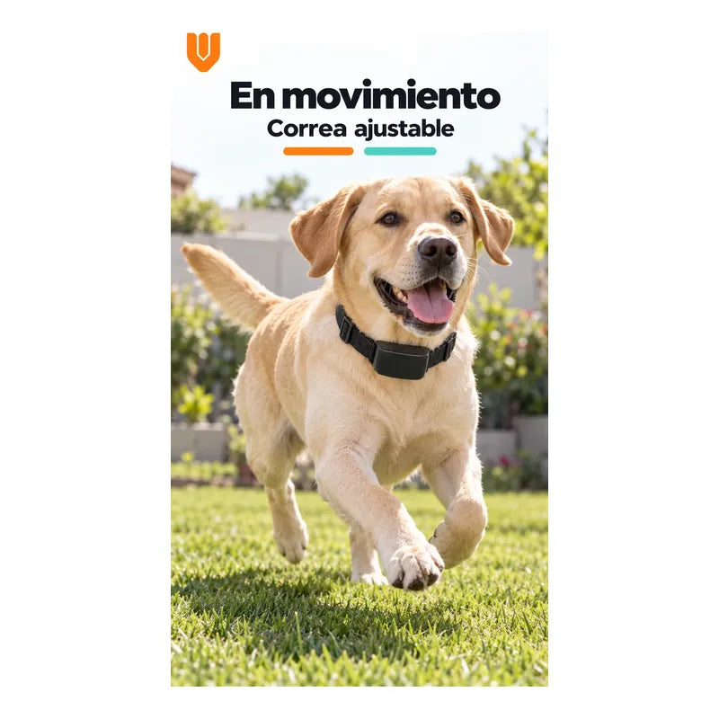 Collar Perro Entrenamiento Electrico Control Remoto Negro Collar Canino Correa Ajustable Tejida Hebilla Receptor Control Remoto Pantalla Pilas Incluidas Entrenamiento