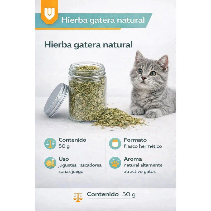 Pack 10 Planta Nepeta Felina Snack Seco Interactivo Hogar