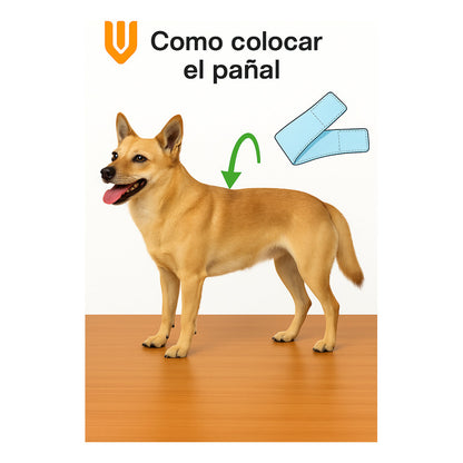 22 Pañales Macho Hembra Pañal Faja Pañal Calzon Perro Gato M Blanco Hembra M 42x30cm / Macho M 55x20cm