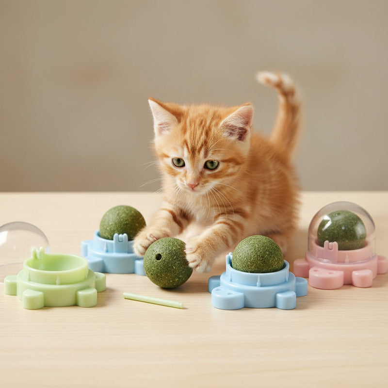 Bola Hierba Gatera Catnip Gatos Bola Snack Catnip Antiestrés