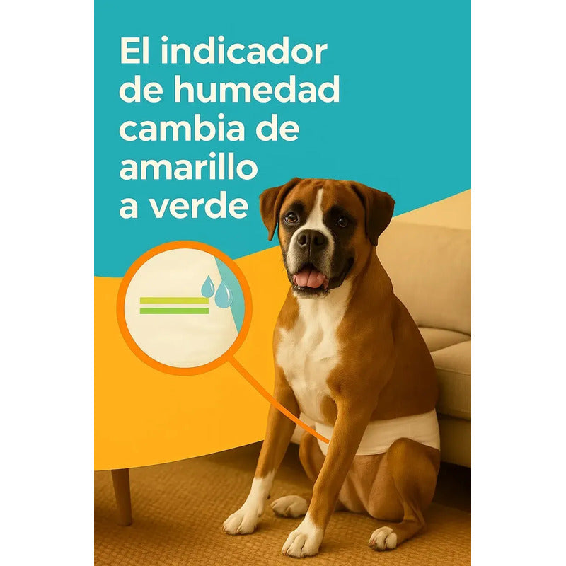 Pañales Perros Macho Gatos Desechables Incontinencia M Blanco 24 Unidades 24 Unidades M