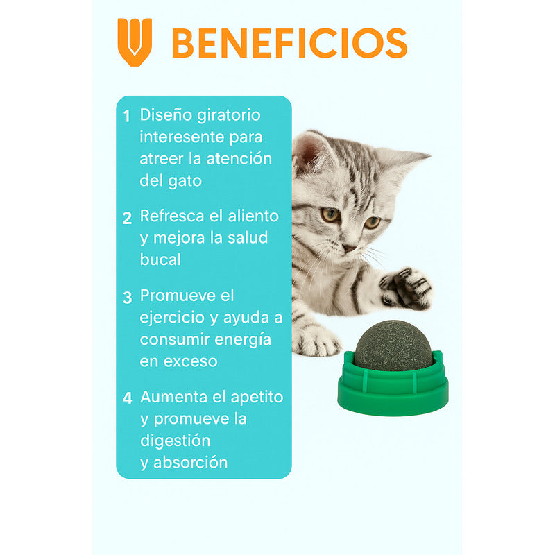 Bola Hierba Gatera Catnip Gatos Bola Snack Catnip Antiestrés