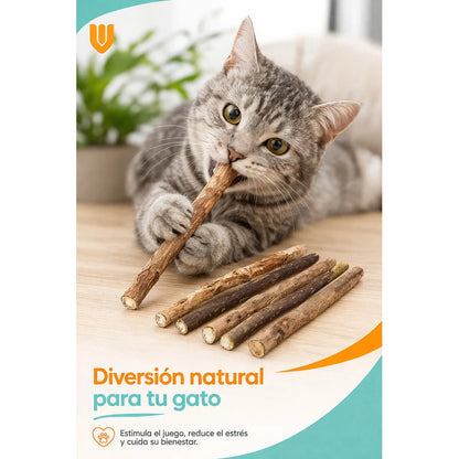 X5 Snack Para Gatos Palitos Hierba Gatera Juguete Yerba Gato Marrón