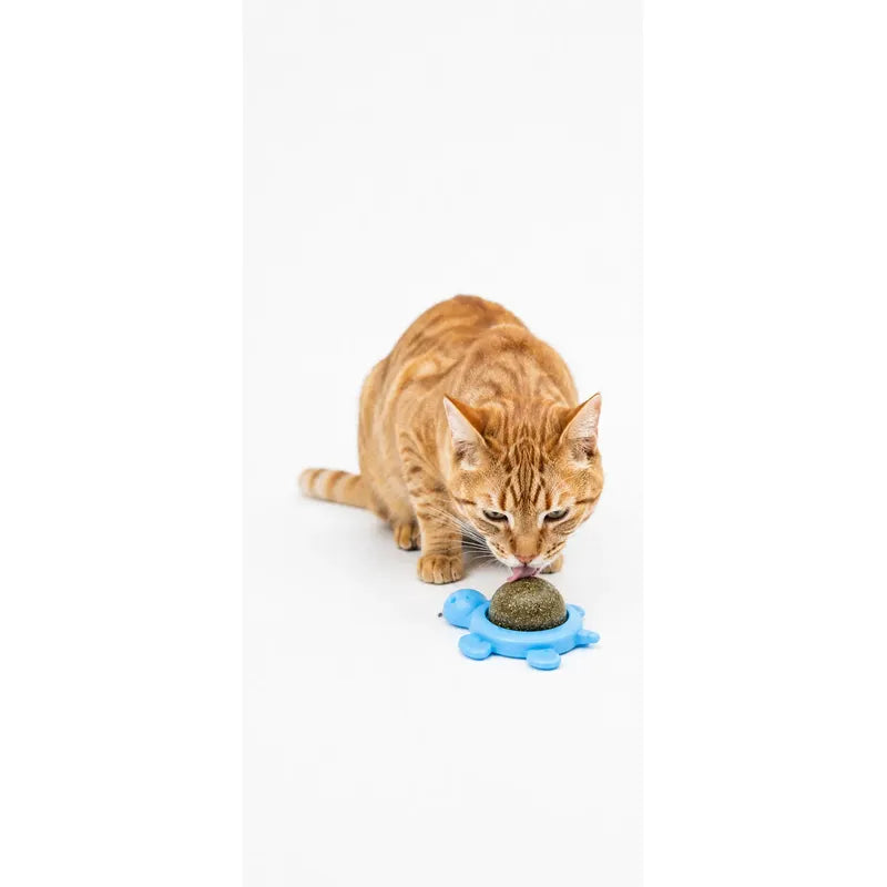 Bola Hierba Gatera Catnip Snack Para Gatos Bola Adhesiva Cat Multicolor Variado Pequeño