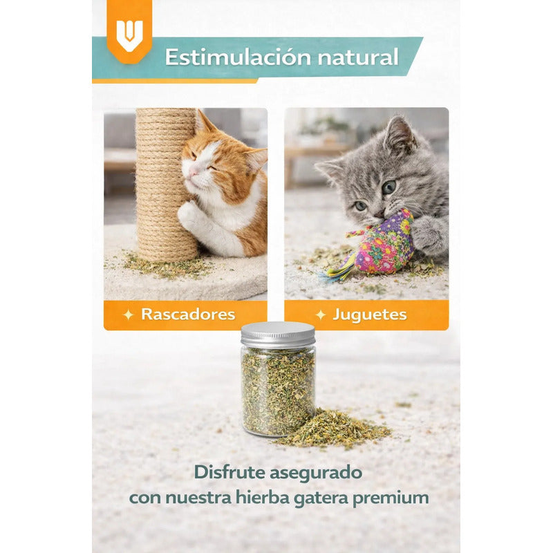 Hierba Gatera Natural Snack Seco Relajacion Gato Mascota 30g Hierba