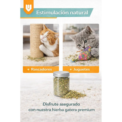 Hierba Gatera Natural Snack Seco Relajacion Gato Mascota 30g Hierba