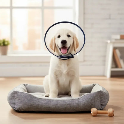 Collar Isabelino Perro Gato Cono Ajustable Transparente 3