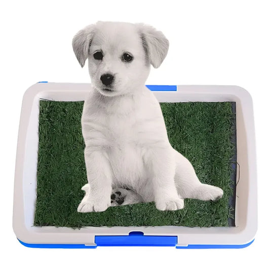 Baño Ecológico Para Perros Gatos Sanitario Ecológico Perros Azul Celeste